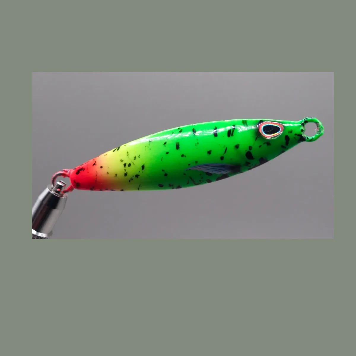 The Ghost of Webster — Rasta