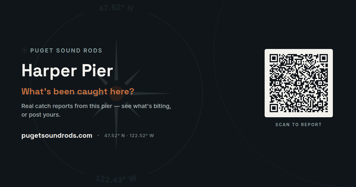 Harper Pier — Report Your Catch